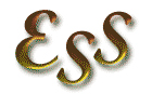 ervalla_ss_logo